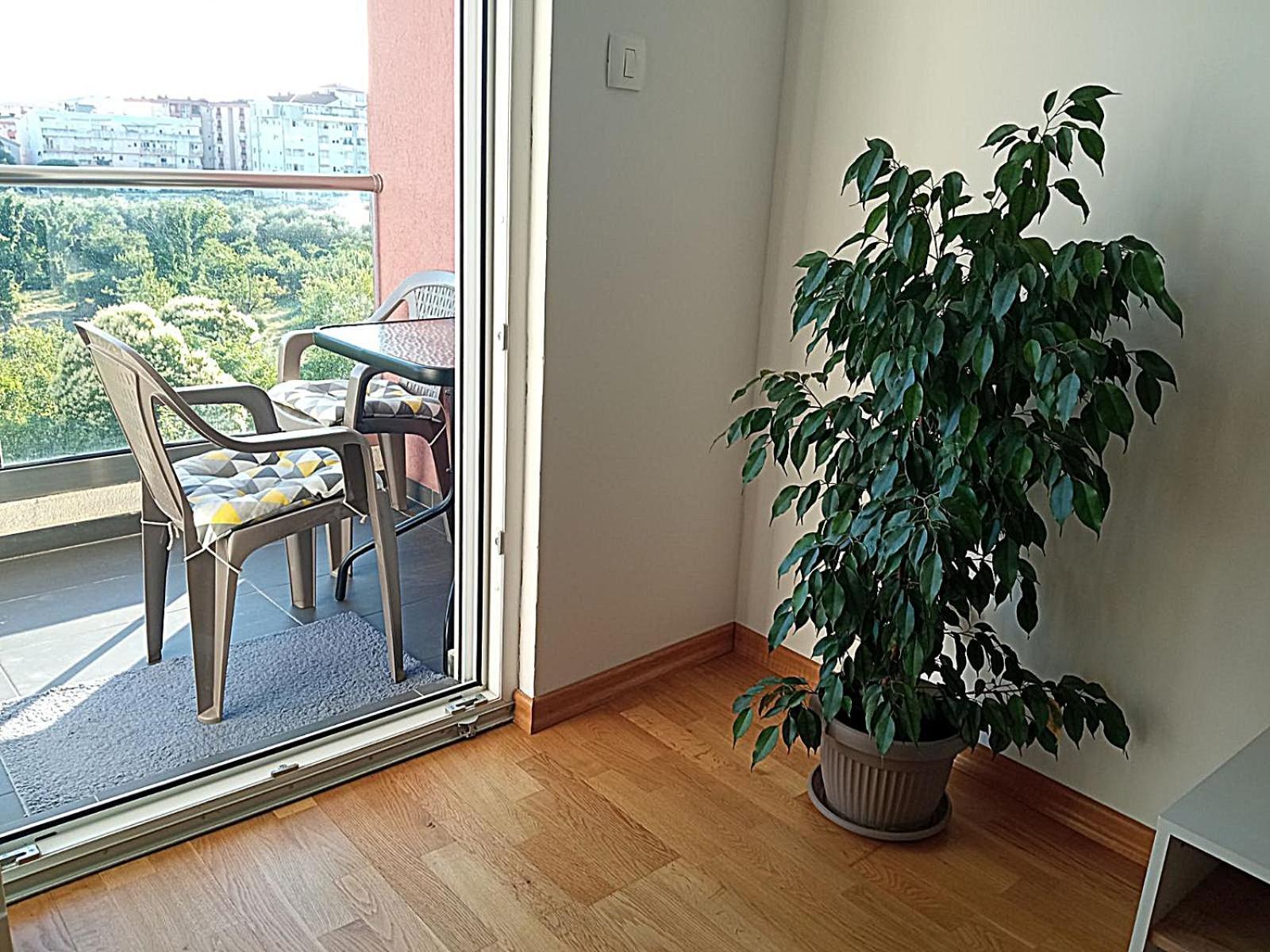Renta Apartman 波德戈里察 外观 照片
